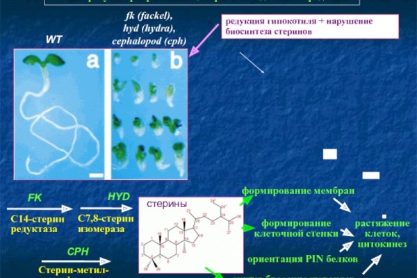 Кракен сайт биз