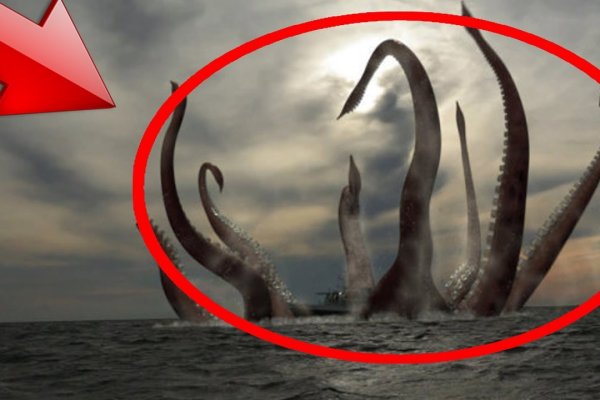 Kraken 21at