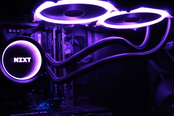 Kraken19at