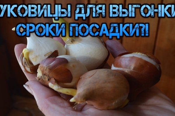 Что с кракеном сайт на сегодня