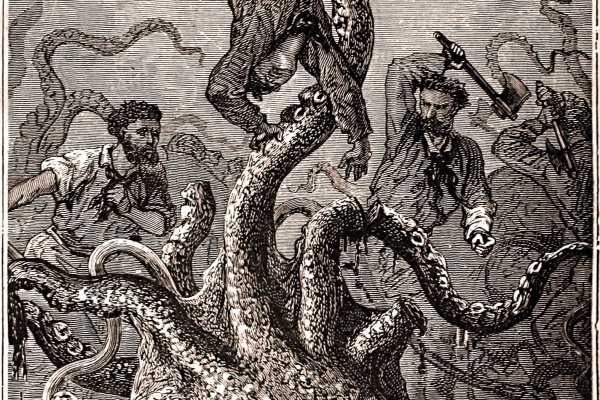 Kraken19at