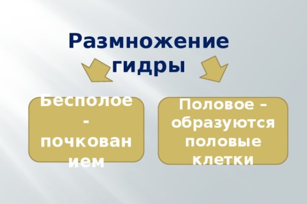 Замена hydra