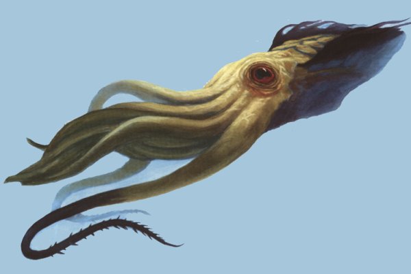 Kraken зеркала маркетплейс