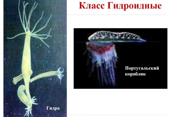 Кракен маркет даркнет только через торг