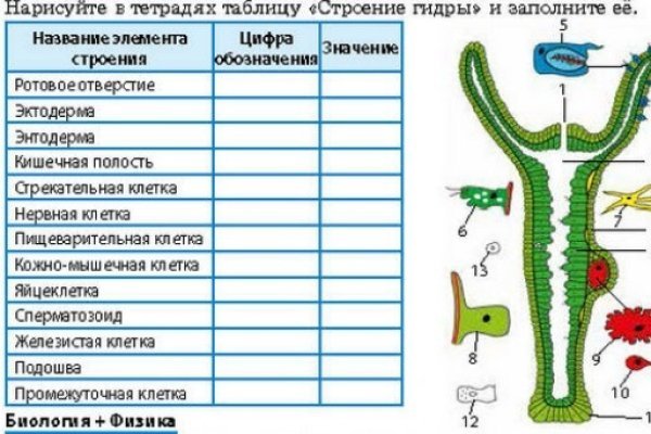 Кракен даркент