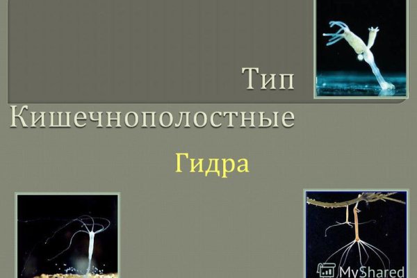 Кракен ссылка официальная