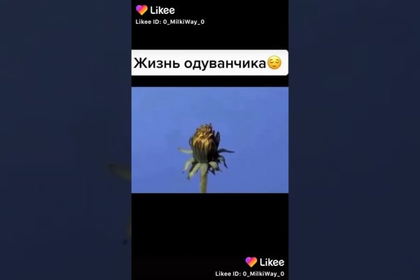 Зайти на кракен