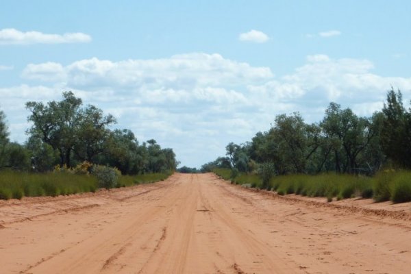 Кракен картель